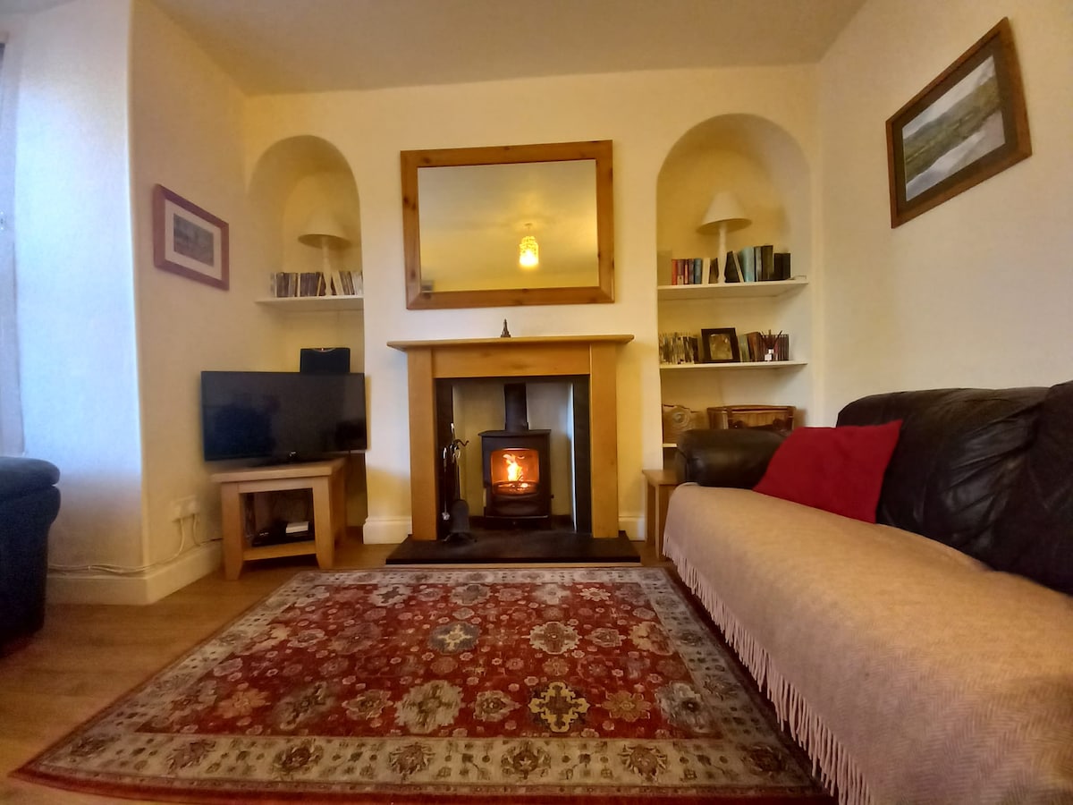 A cozy living room features a wood-burning stove with a warm glow, surrounded by built-in shelves filled with books and decor. A black leather sofa and a light-colored throw blanket invite relaxation, while a flat-screen TV sits opposite. A patterned area rug adds texture to the hardwood floor.