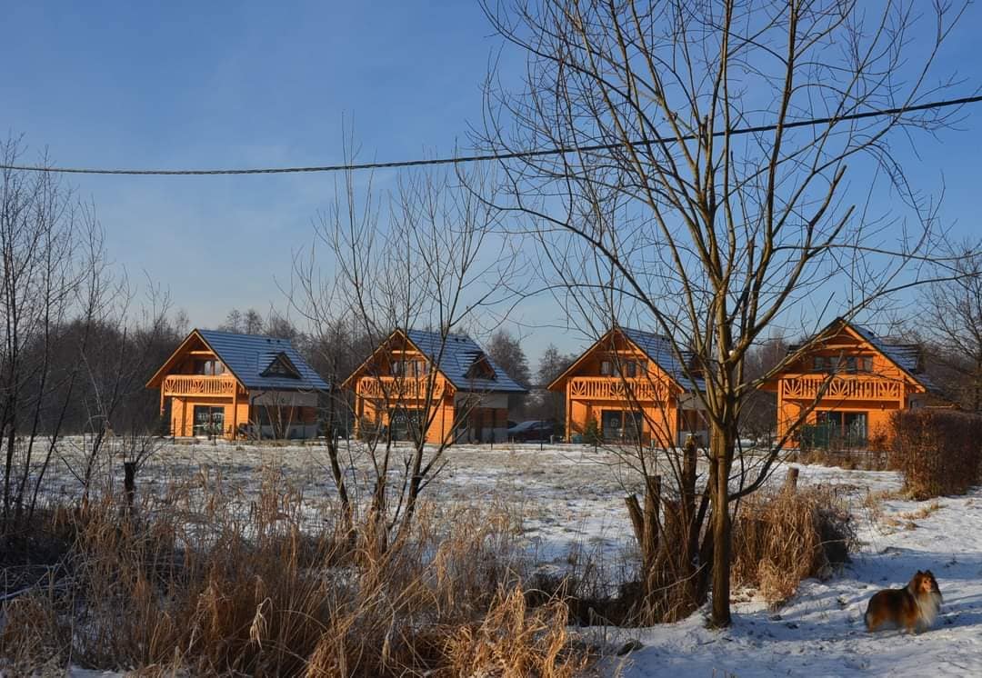 Three wooden cottages are visible, each featuring a classic gabled roof. The cottages are situated in a snowy landscape, surrounded by bare trees and tall grass. A dog is seen resting nearby, contributing to the serene and natural setting.