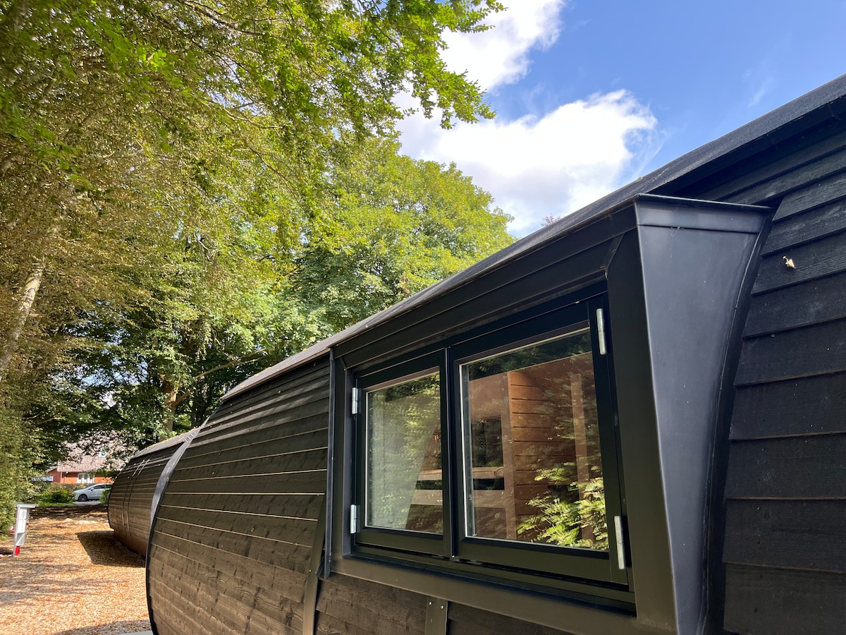 The exterior of a newly constructed wooden cabin is displayed, featuring a curved design. Large windows allow natural light to enter, surrounded by greenery and trees. The roof angles gently, harmonizing with the cabin's unique shape.