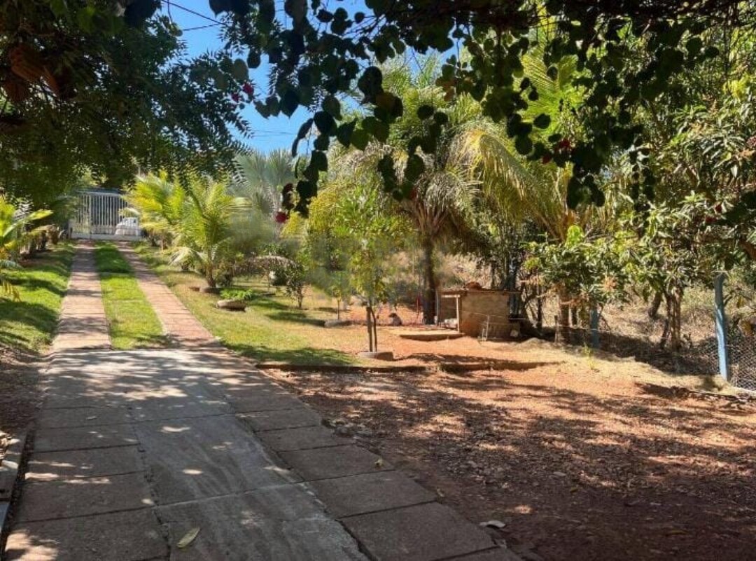 A well-maintained pathway leads through a lush garden, flanked by tropical plants and trees. The property is surrounded by greenery, creating a serene atmosphere, while a small structure can be seen in the distance. Sunlight filters through the leaves, highlighting the natural beauty.