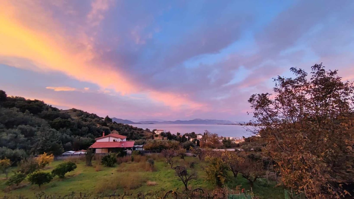 A serene landscape captures a house surrounded by trees in a lush field, with the sea and distant mountains visible in the background. Soft hues of orange and pink in the sky hint at a sunset, enhancing the calm atmosphere of the area.