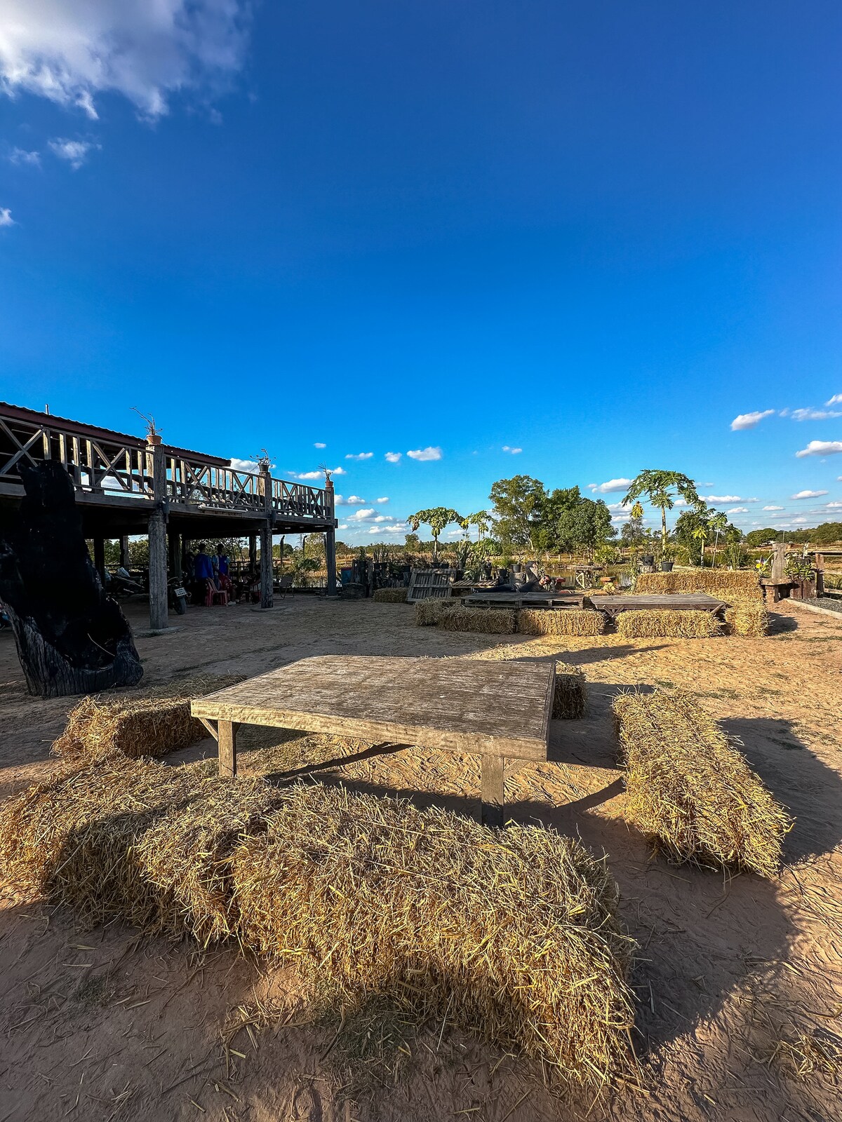 An outdoor farm area features wooden tables surrounded by benches made of hay. The space is bathed in natural light under a clear blue sky, with trees visible in the background, creating a relaxed and open atmosphere.