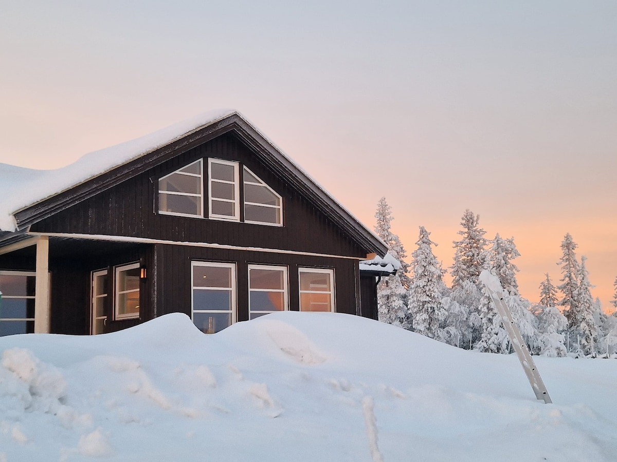 A modern black cabin is partially obscured by soft white snow, set against a backdrop of tall, snow-covered trees. Large windows reflect the warm glow of the sunset, creating a welcoming appearance in the winter landscape.