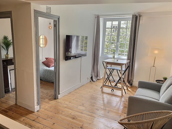 Wonderhost, Vue Magique Sur Le Château De Pau - Pau