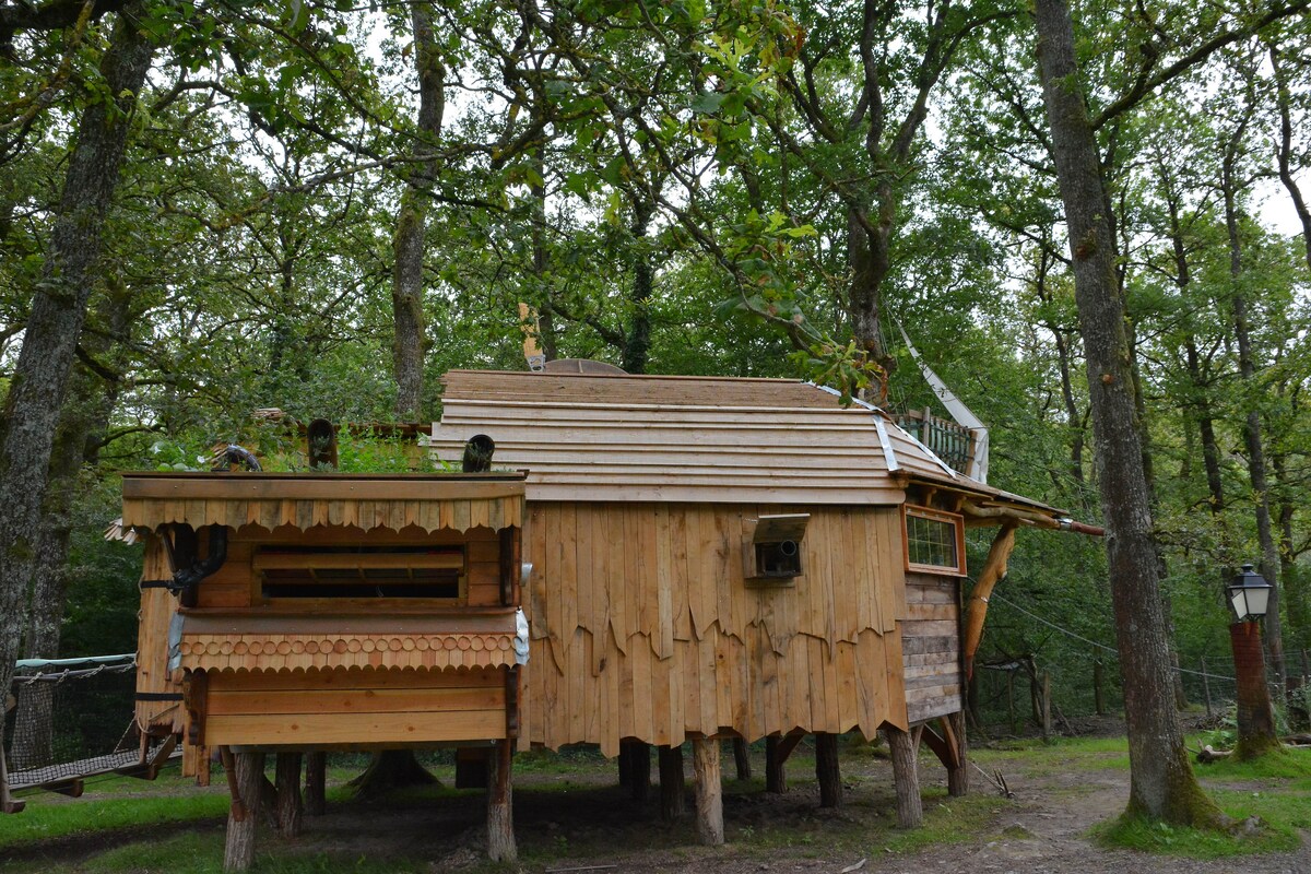 A wooden cabin nestled among tall trees features a sloped roof adorned with greenery. The structure includes a small covered area with traditional wood detailing, alongside a window that allows natural light to enter. The surrounding forest enhances the cabin's rustic charm.