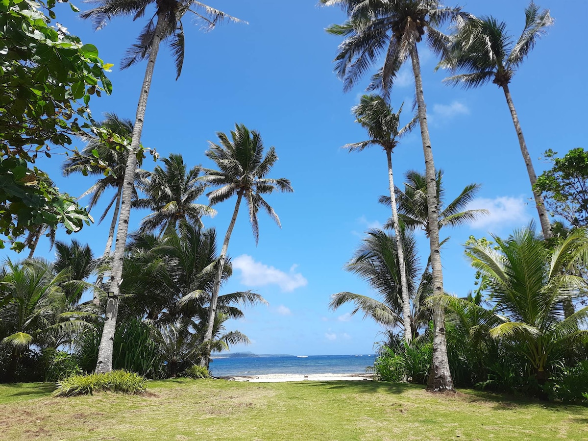 Tall palm trees stand prominently against a clear blue sky, framing a view of the ocean in the distance. Lush green grass leads to the sandy beach, creating a serene coastal environment surrounded by tropical vegetation.
