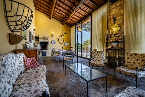 Villa dei Pavoni-Luxurious retreat in Florence