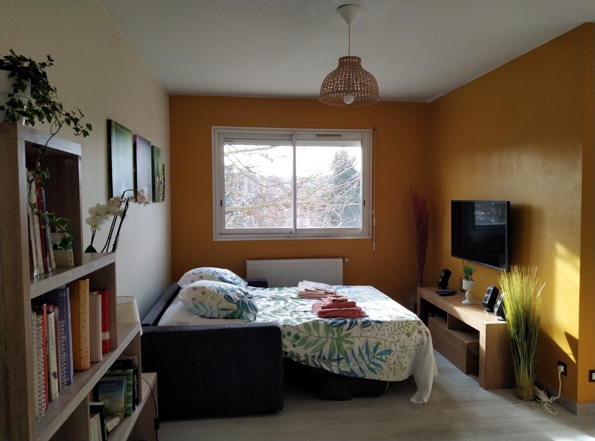 The living space features a cozy sleeping area with a queen-sized bed dressed in floral bedding. A television is mounted on the wall opposite the bed. Natural light filters in through the window, illuminating a bookshelf filled with books and decorative plants.