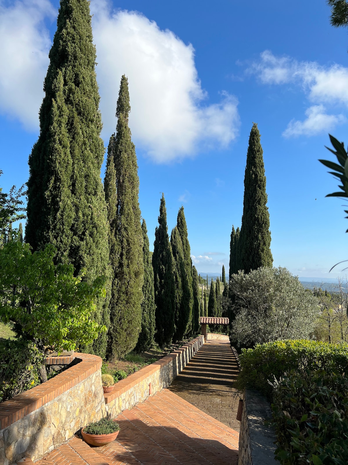 Tall cypress trees line a brick pathway that descends gently through a lush green landscape. The clear blue sky enhances the serene atmosphere, while the view stretches towards the horizon, framed by the greenery on either side.