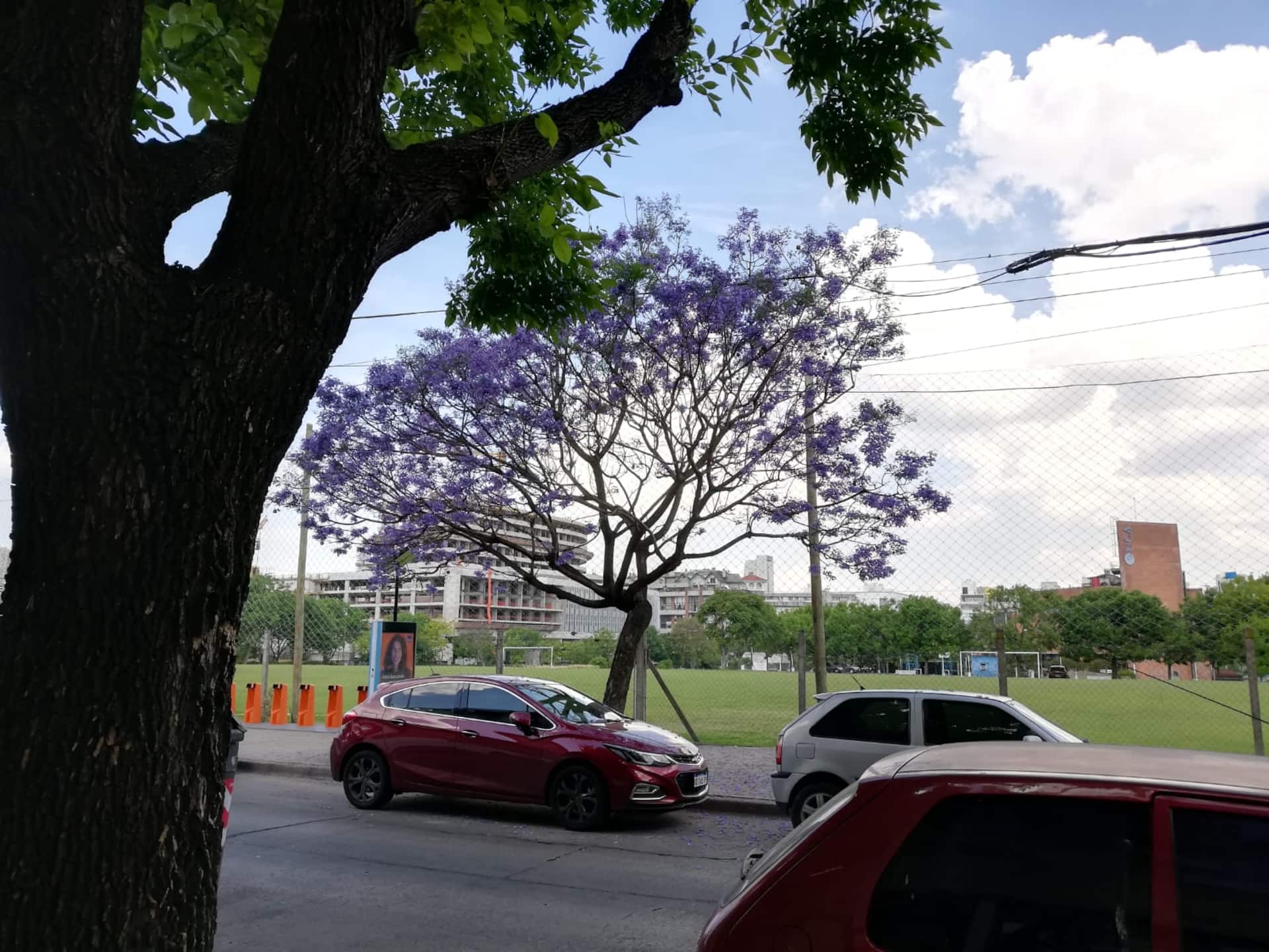 Лофт с отдельным входом в Colegiales