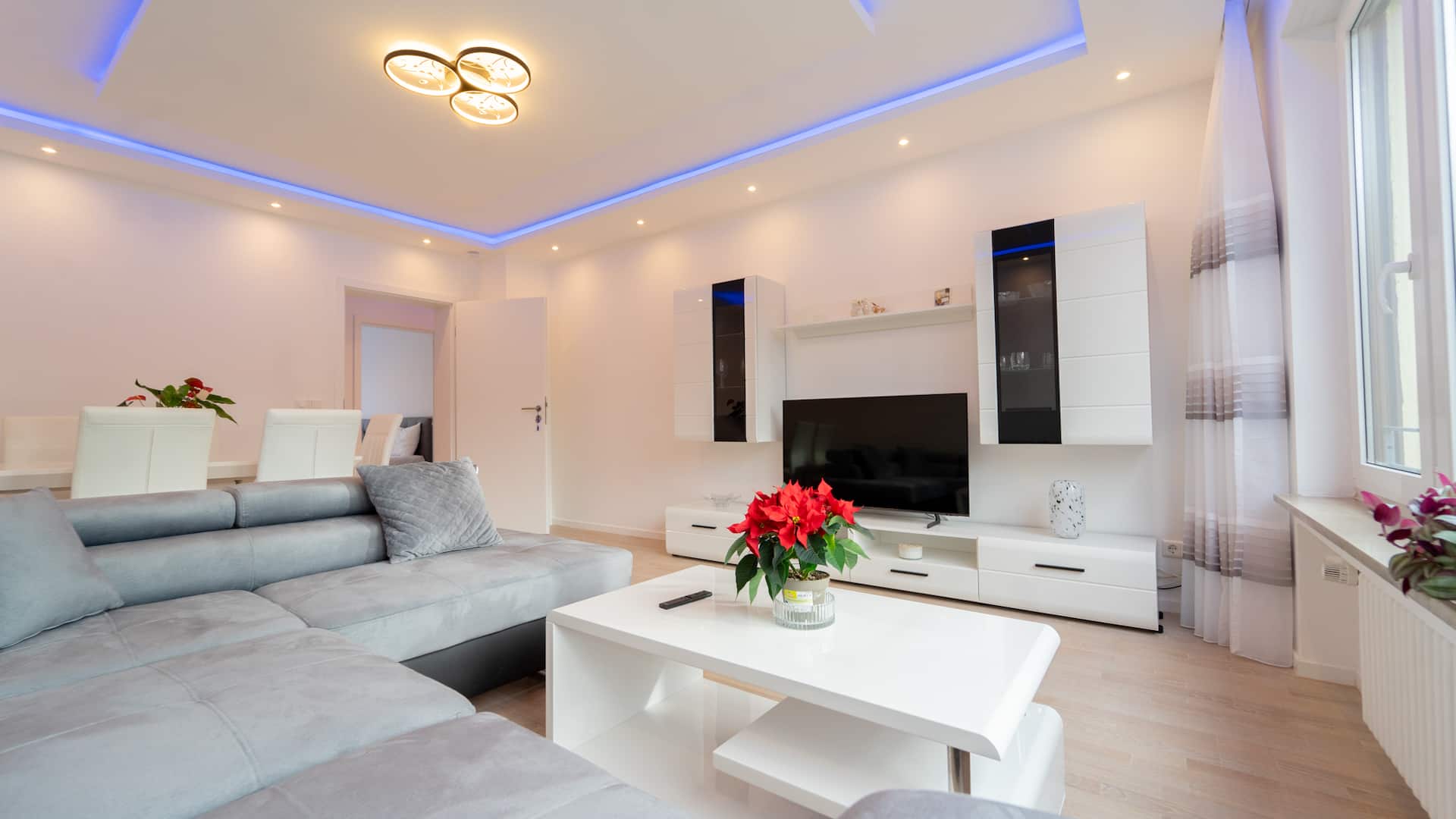 Mega Lux Apartment