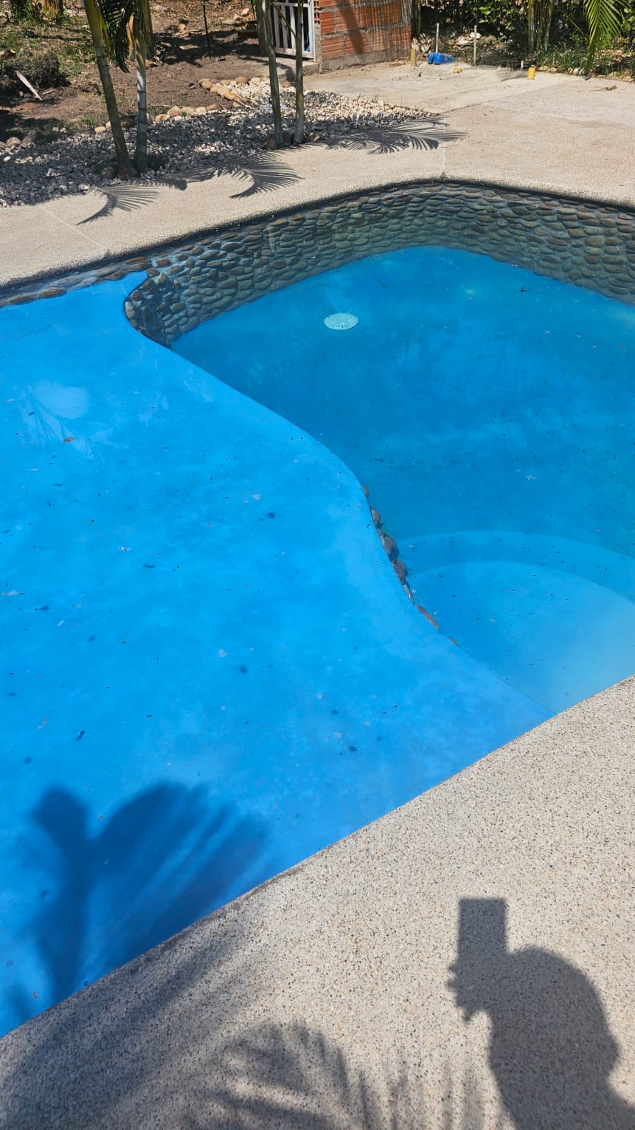 A private swimming pool is highlighted, featuring a clear blue interior that invites relaxation. The pool's unique shape offers spaces for both lounging and swimming, set against a backdrop of a sunlit patio with surrounding tropical landscaping.