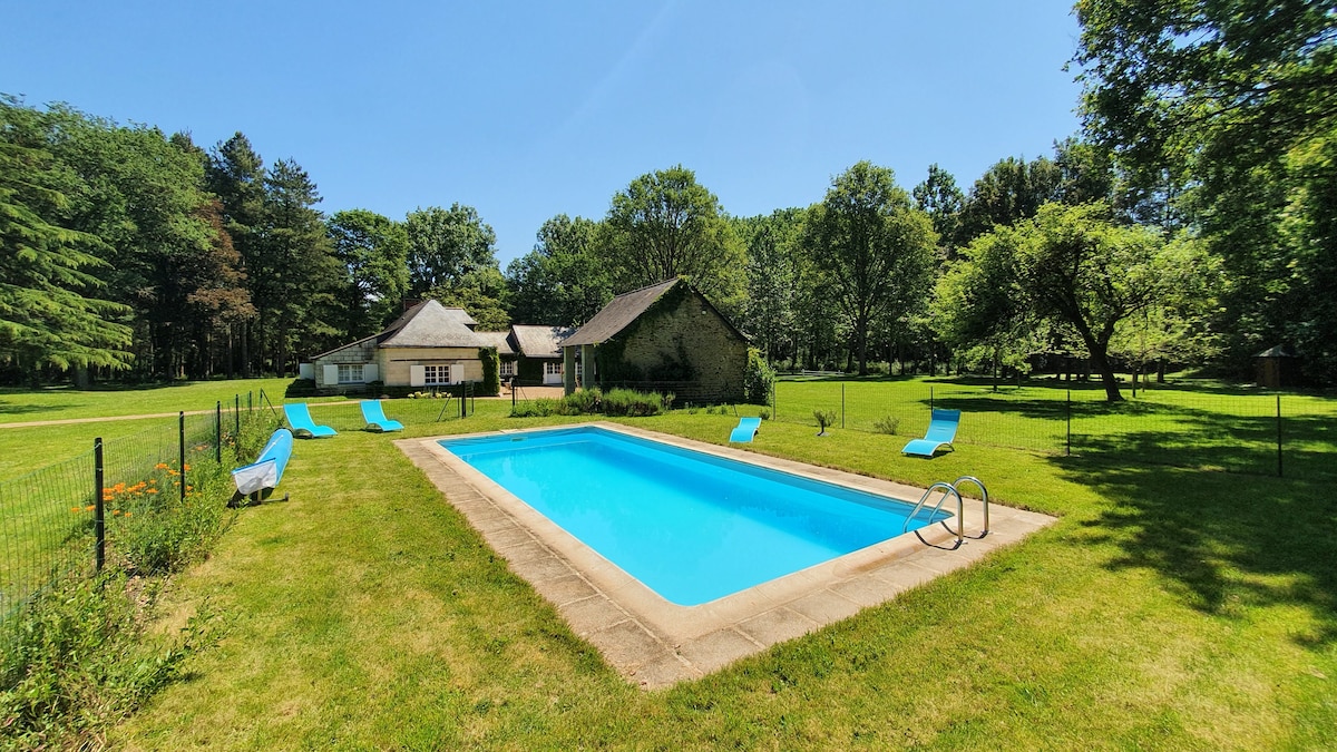 A serene outdoor area features a clear swimming pool surrounded by a protective fence. Sun loungers in vibrant blue are arranged nearby, with lush greenery and mature trees providing a tranquil backdrop. The renovated farmhouse is visible in the distance, adding to the peaceful setting.