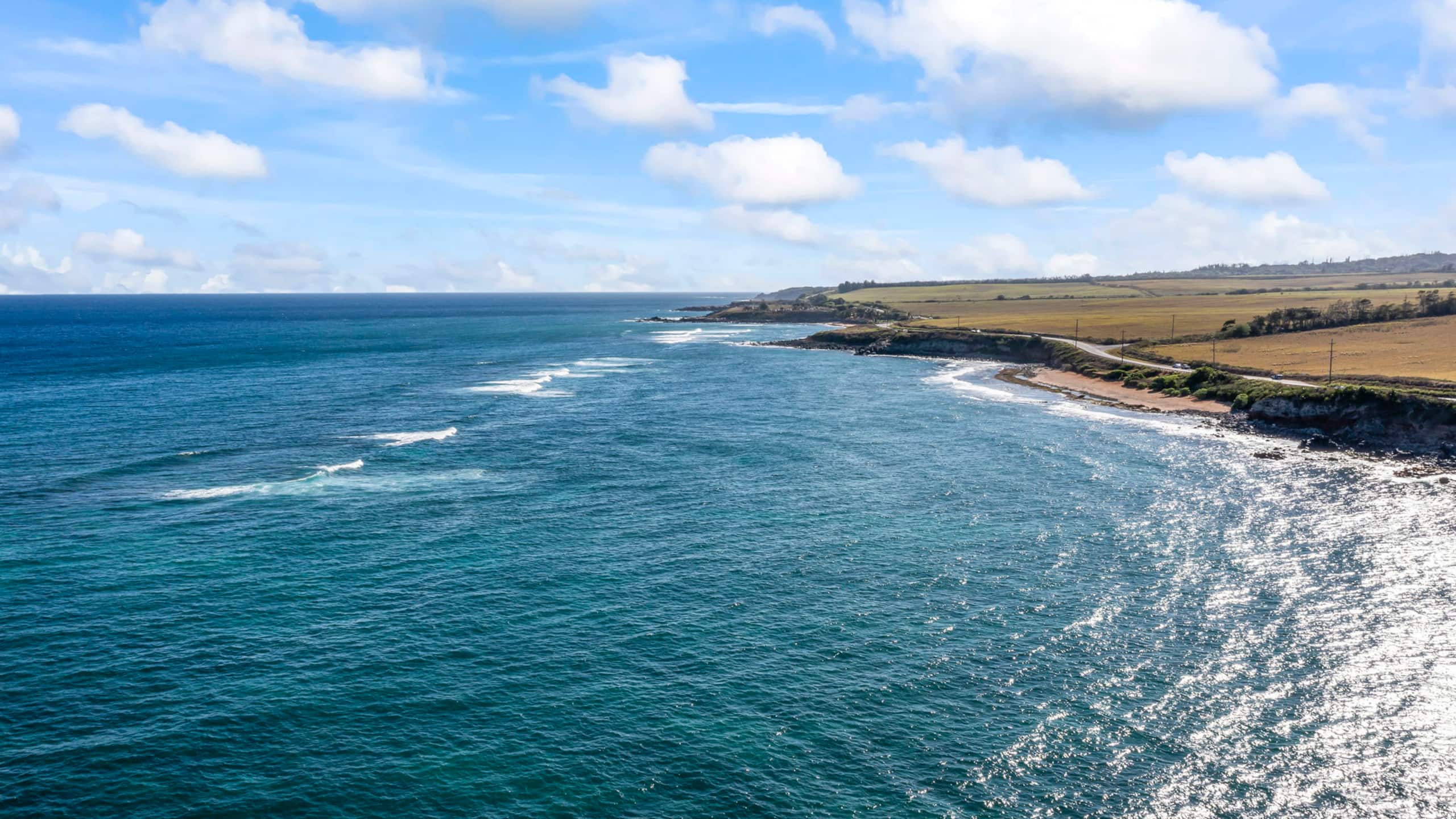 Ku'au Paia - Walk to the Beach! - Image 35