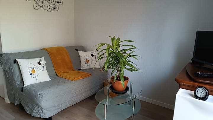 Fromentine, Maison 45 M², 2à4 P - La Barre-de-Monts