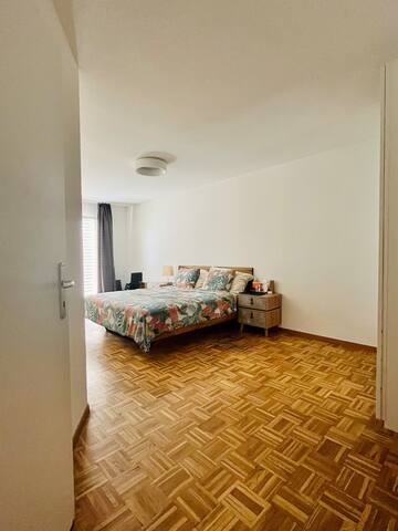 Spacious flat in Geneva gallery image 2
