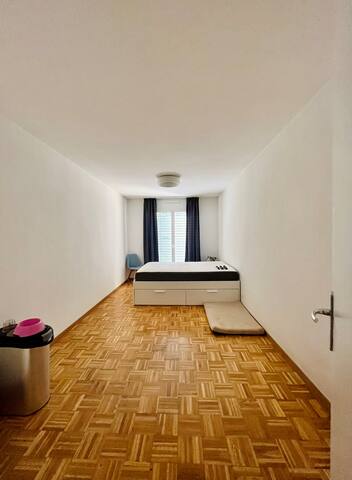 Spacious flat in Geneva gallery image 3