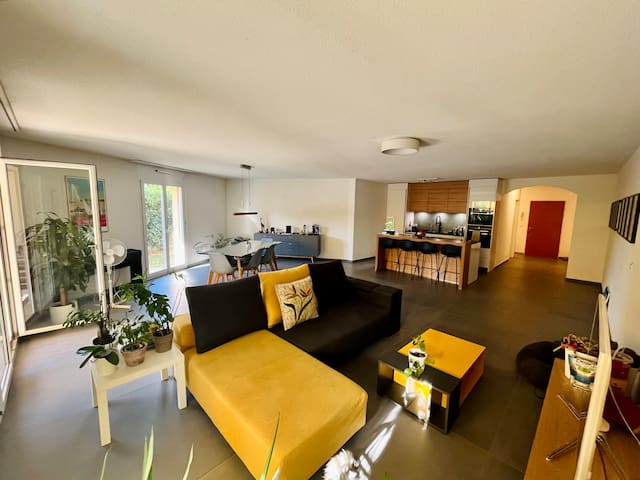 Spacious flat in Geneva