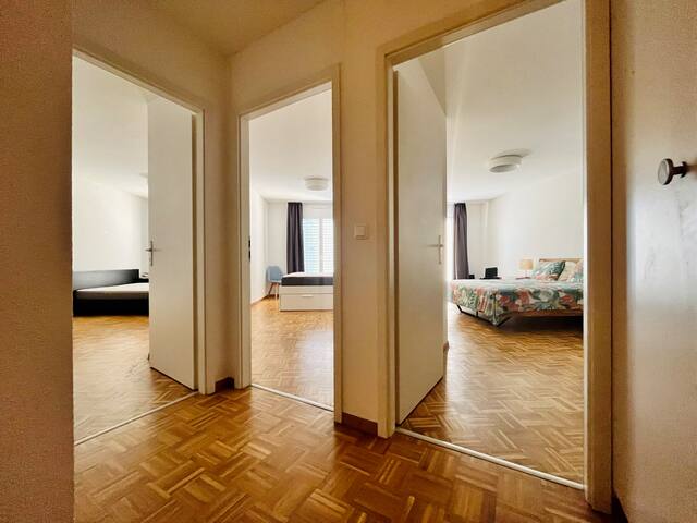 Spacious flat in Geneva gallery image 5