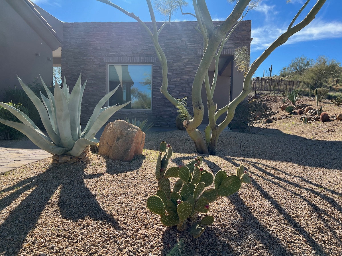 Desert landscaping features a variety of cacti and agave plants in a gravel yard. A stone facade enhances the exterior of the casita, while large windows reflect the surrounding desert environment. Shadows cast by the plants create a patterned effect on the ground.