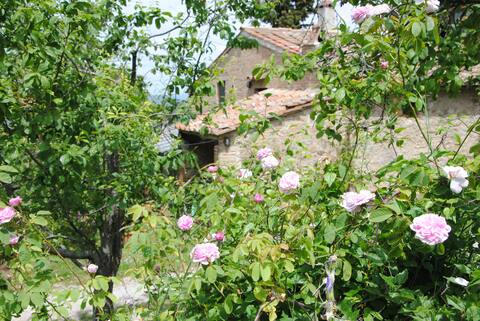 Apartment 'Il Noce', Tuscany
