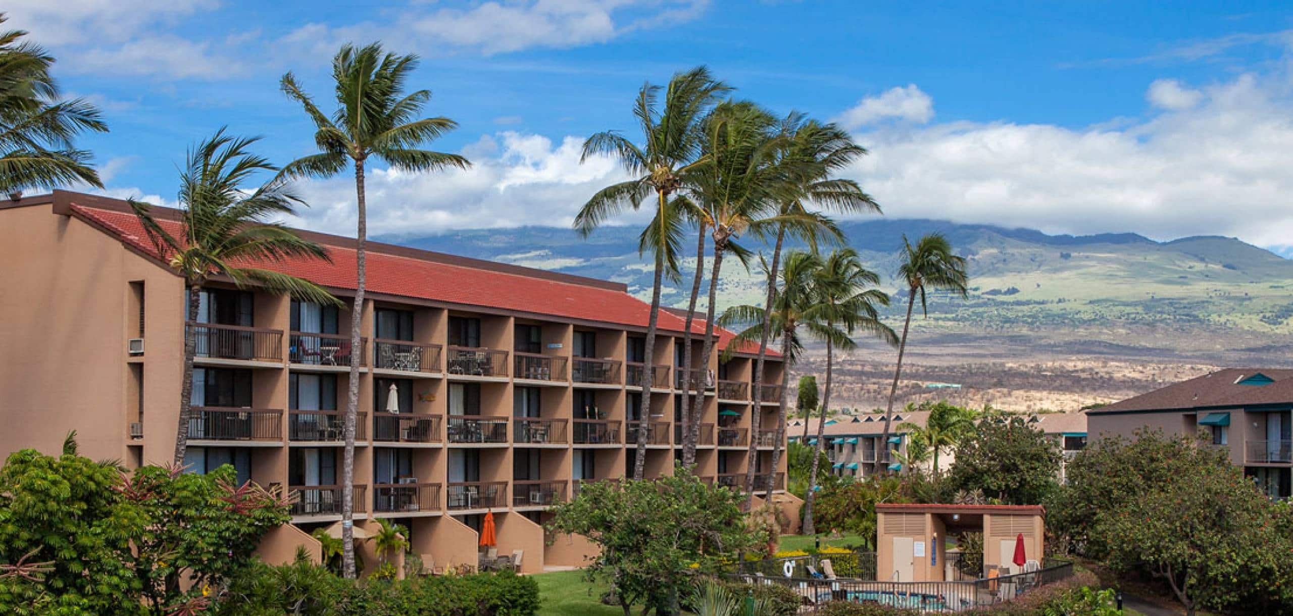 Condo in Kihei · ★4.92 · 1 bedroom · 1 bed · 1 bath - Image 17