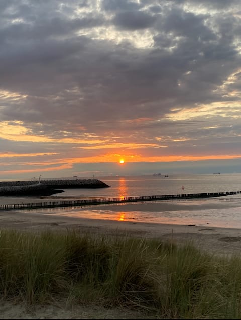 A small cottage in Cadzand-Bad