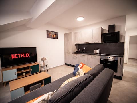 Charming apartment in Yutz 55 m2