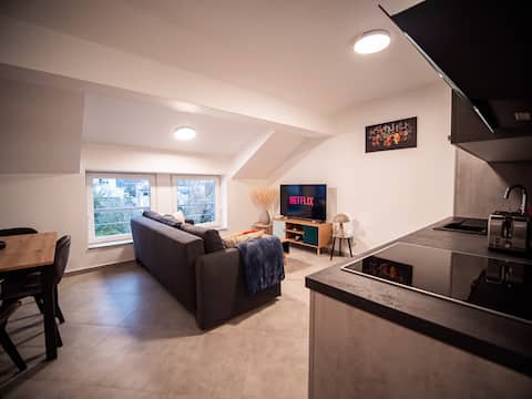 Charming apartment in Yutz 55 m2