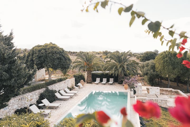 The 5 Seasons | 4 Studios