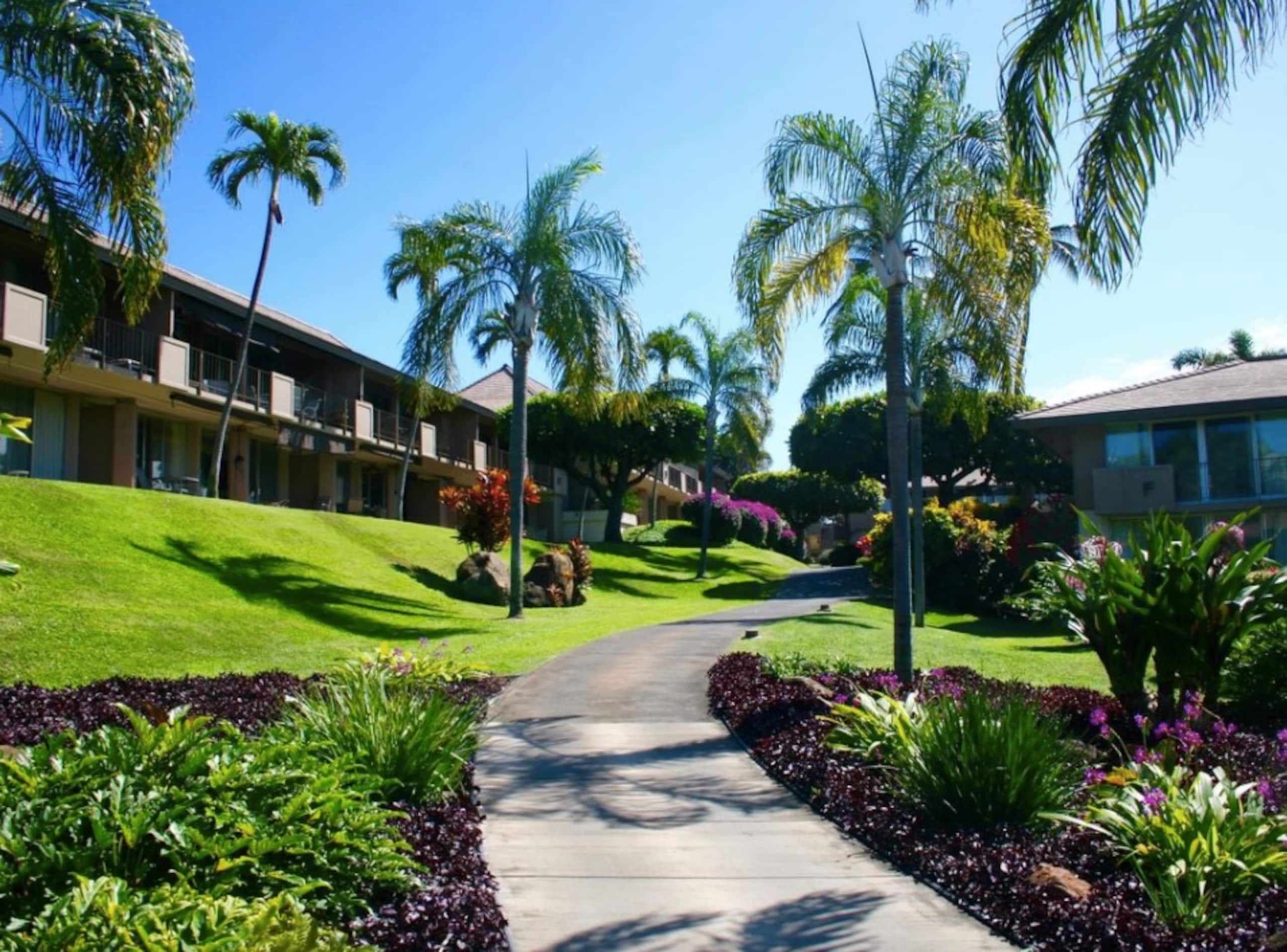 Condo in Lahaina · ★4.96 · 1 bedroom · 4 beds · 1 shared bath - Image 15