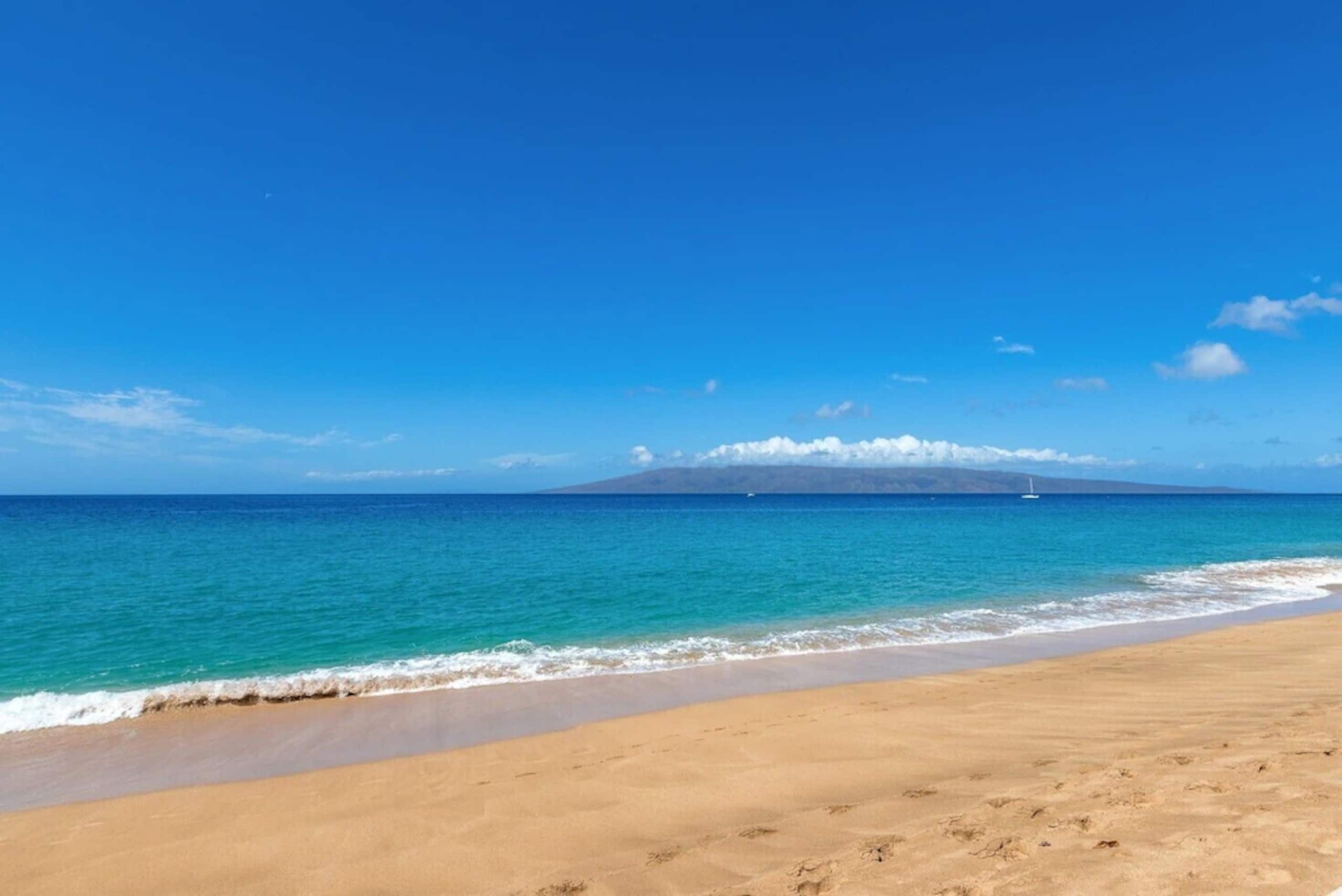 Condo in Lahaina · ★4.96 · 1 bedroom · 4 beds · 1 shared bath - Image 16