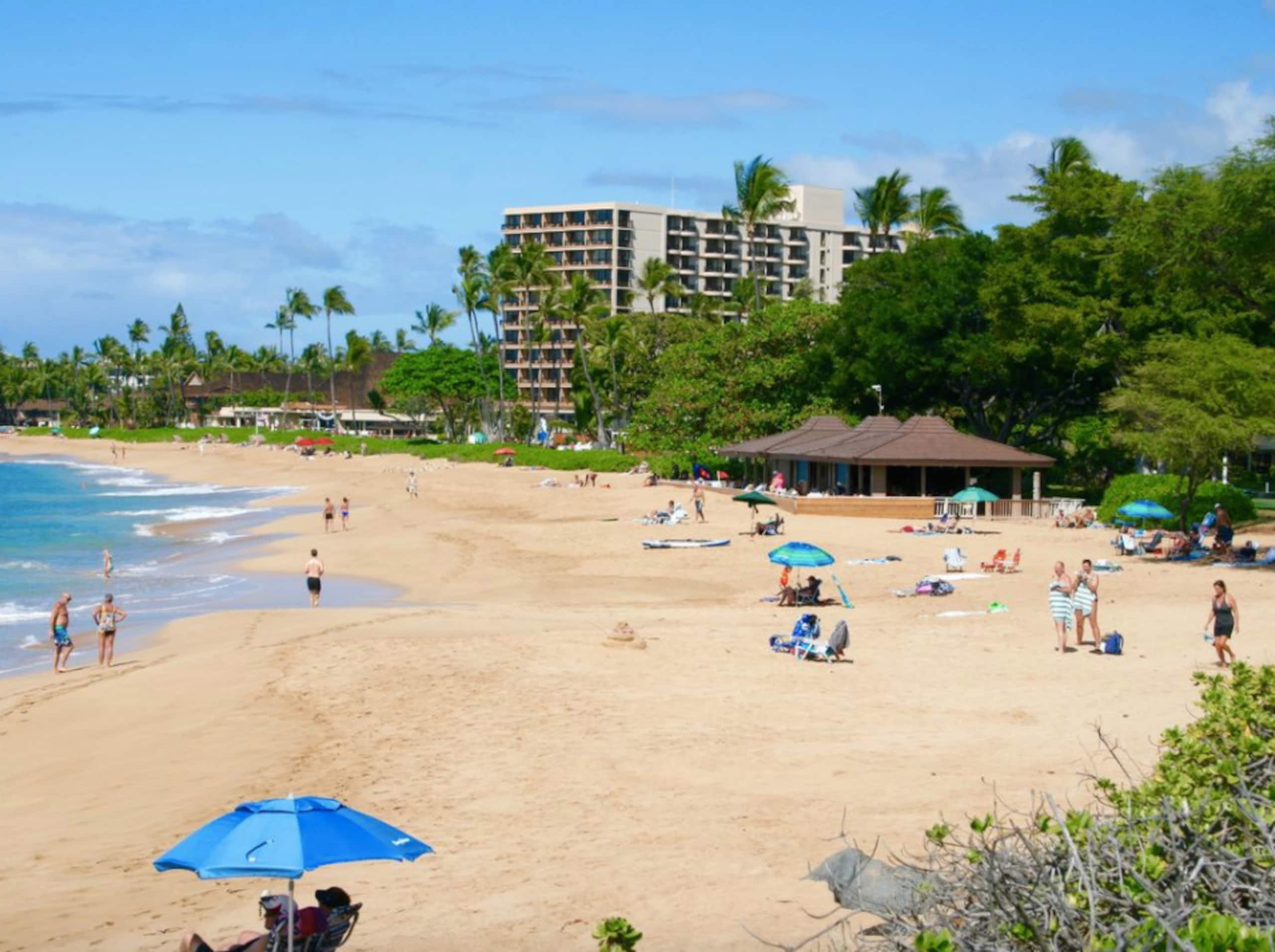 Condo in Lahaina · ★4.96 · 1 bedroom · 4 beds · 1 shared bath - Image 14