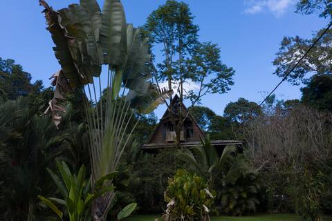 Beautiful cabin in the jungle
