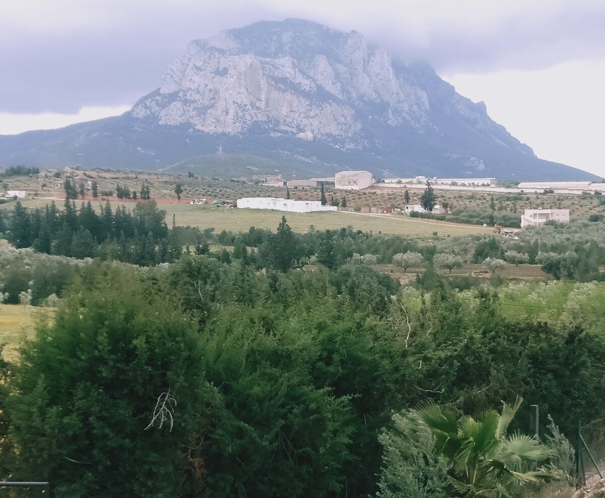 A panoramic view of a mountain, prominently featuring Djebel Rassas, with lush greenery in the foreground. Rolling hills and cultivated fields extend into the distance, creating a peaceful rural landscape, complemented by a cloudy sky.