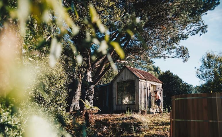 The Picker’s Cabin