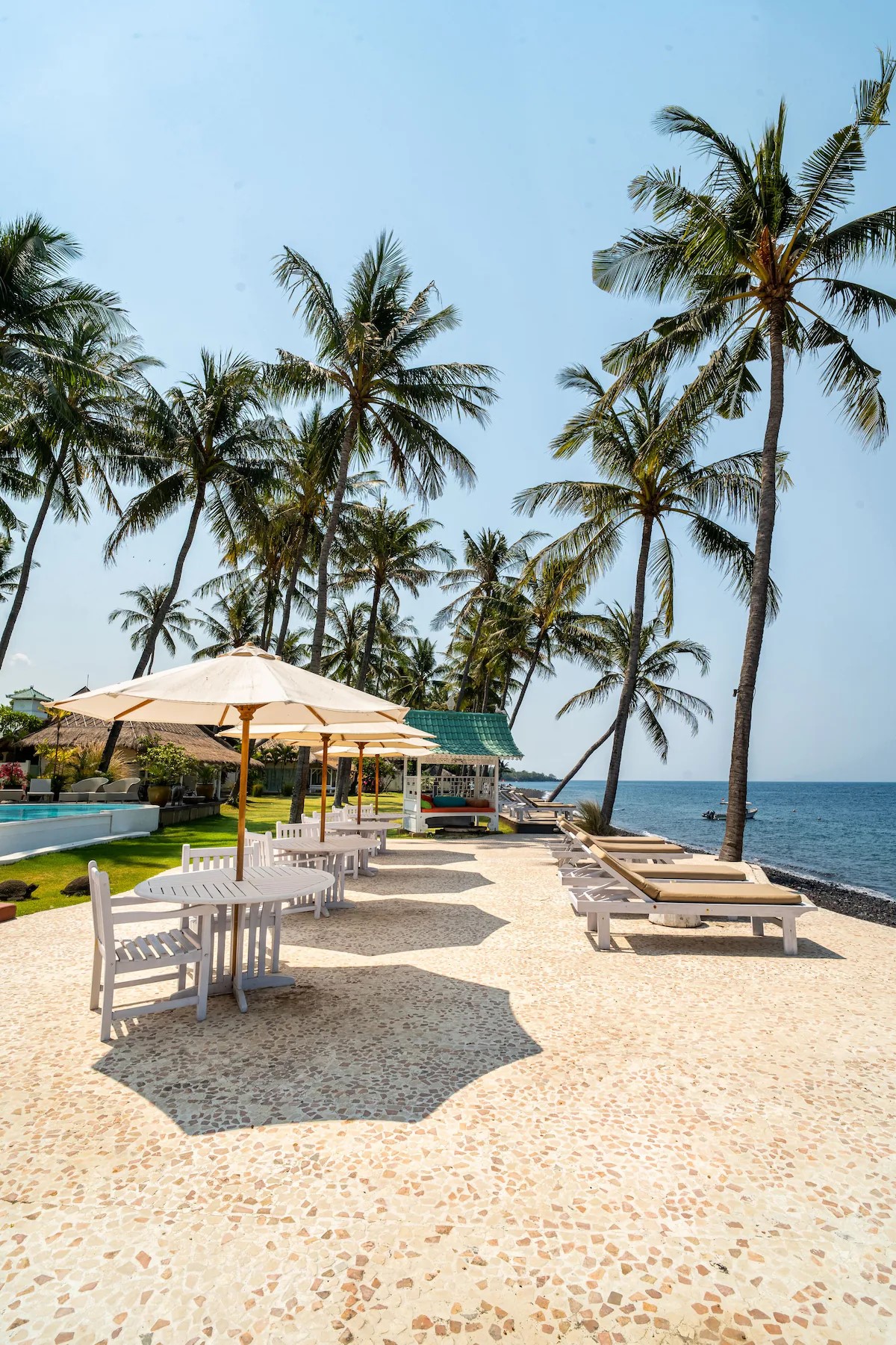 An outdoor area features white lounge chairs and shaded tables under umbrellas, positioned along a scenic waterfront. Palm trees sway gently in the breeze, framing the view of the ocean and adding to the tranquil ambiance of the space.