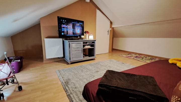 חדר שינה 5/סלון ילדים עם משחקים, צעצועים וטלוויזיה. ספה אחת