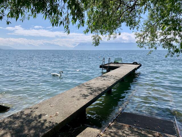 Gorgeous lakeside home ! gallery image 2