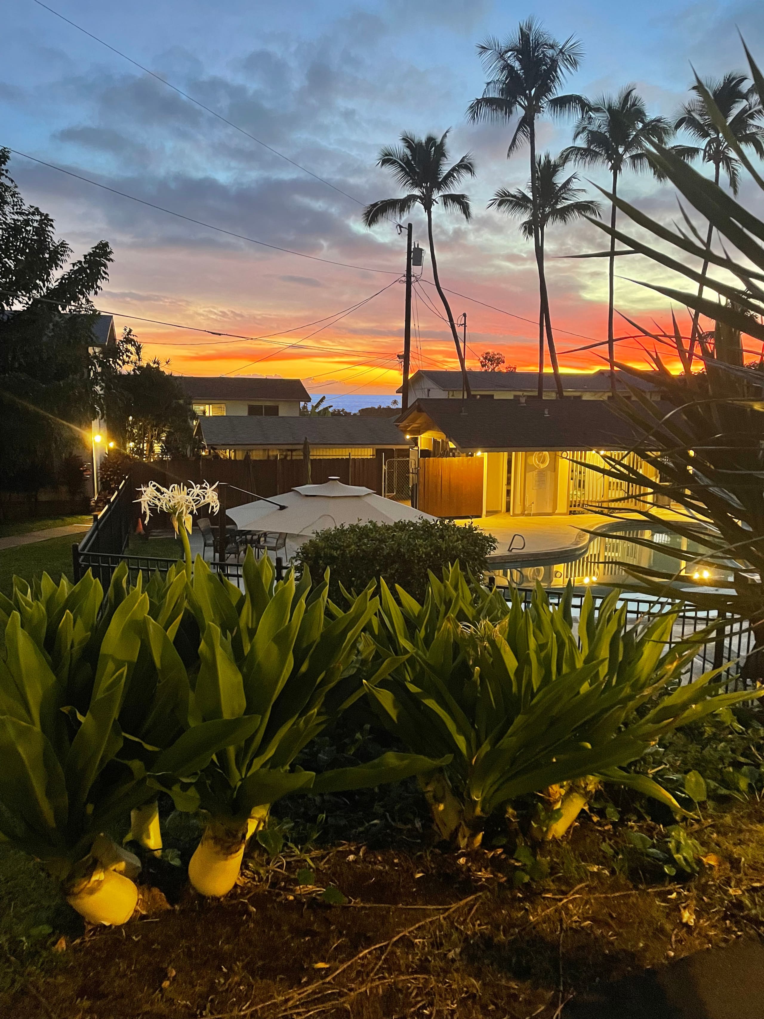 Slice of Paradise in Kona - Walk to Beach, Shops - Photo 16