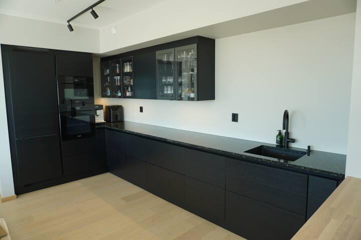 Spectacular 2 BR/2 bath apt. in the heart of Oslo gallery image 5