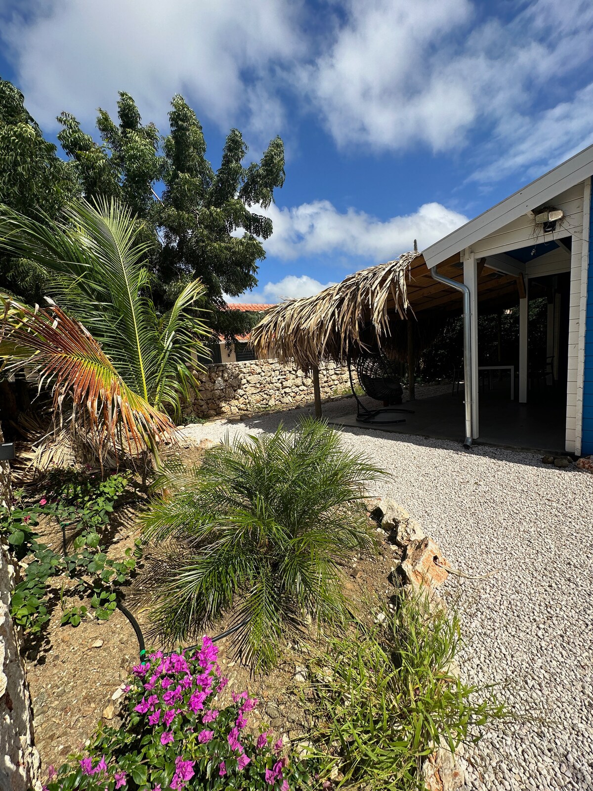 Lush greenery surrounds the property, showcasing a mix of palm trees and vibrant flowers. A thatched-roof area provides shade, adjacent to a gravel pathway that leads to the entrance of the house, framed by natural stone walls.