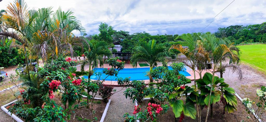 A vibrant garden surrounds a crystal-clear swimming pool. Lush greenery and colorful flowers frame the area, creating a serene outdoor space that invites relaxation. The sky above is partly cloudy, adding depth to the tranquil atmosphere.