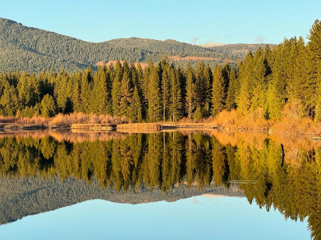 A tranquil lake reflects the surrounding evergreen trees and distant mountains under clear skies. The calm water creates a mirror-like surface, enhancing the sense of serenity in the natural landscape.