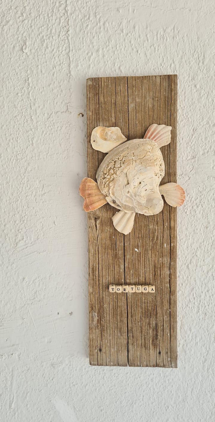 Tortuga - Curaçao