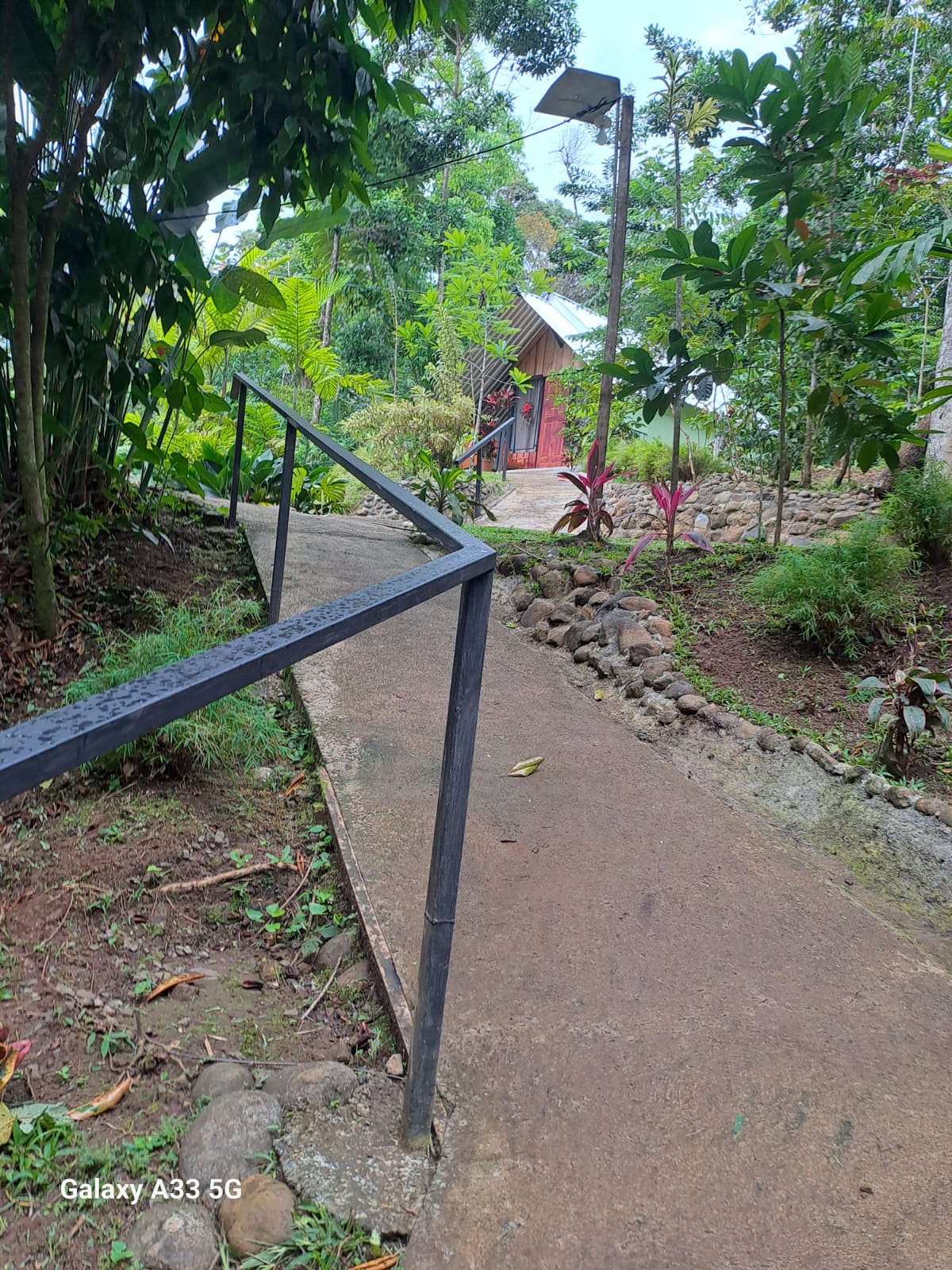 A winding path lined with greenery leads towards a red structure nestled among dense foliage. A handrail provides support along the concrete walkway, enhancing accessibility. Lush plants and trees create a serene atmosphere, inviting exploration of the eco-glamping surroundings.