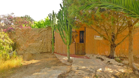 Propiedad de Airbnb exitosa: Can Mazo en Formentera