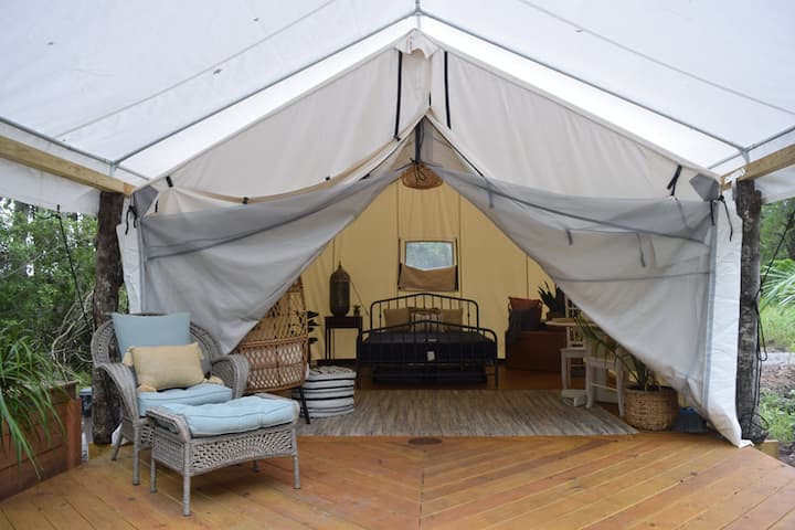 Bohemian Dream -