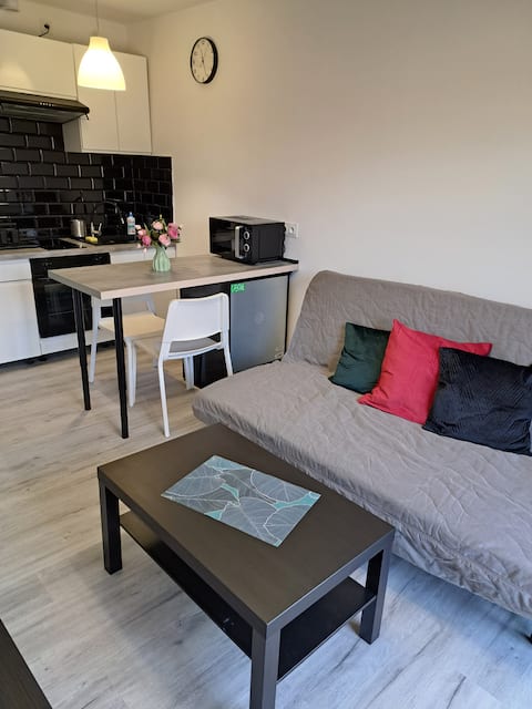 Top performing Airbnb: Aqua Apartment City Center in Huby