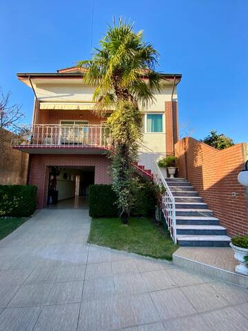 Casa da Palmeira gallery image 3